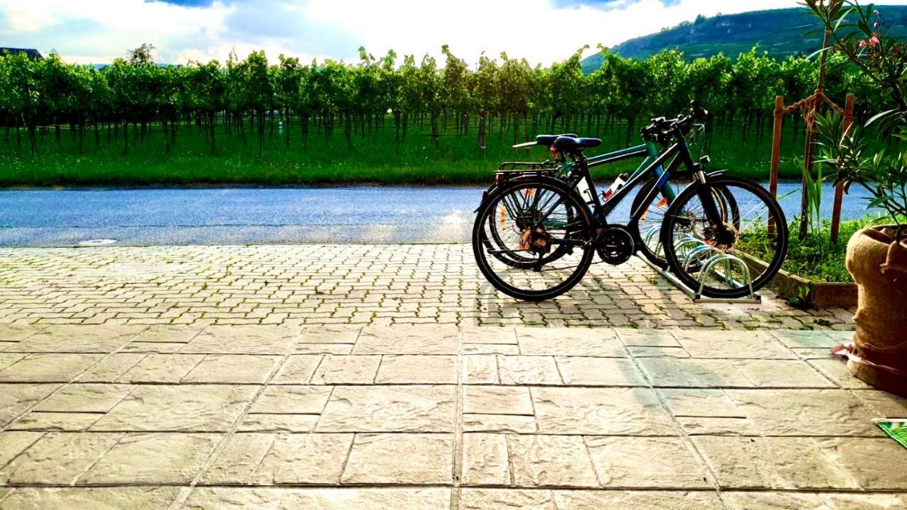 Landhaus Weinblick Rohrendorf bei Krems エクステリア 写真