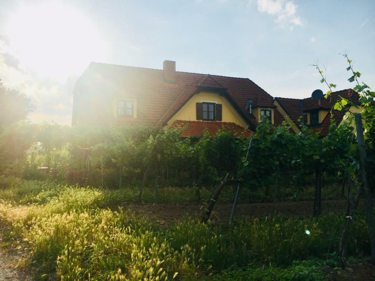 Landhaus Weinblick Rohrendorf bei Krems エクステリア 写真