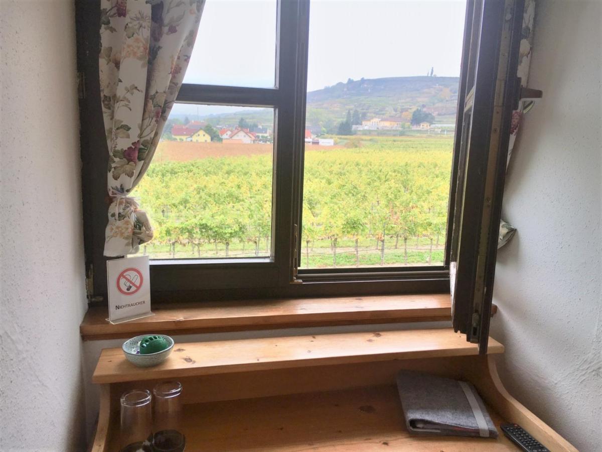 Landhaus Weinblick Rohrendorf bei Krems エクステリア 写真